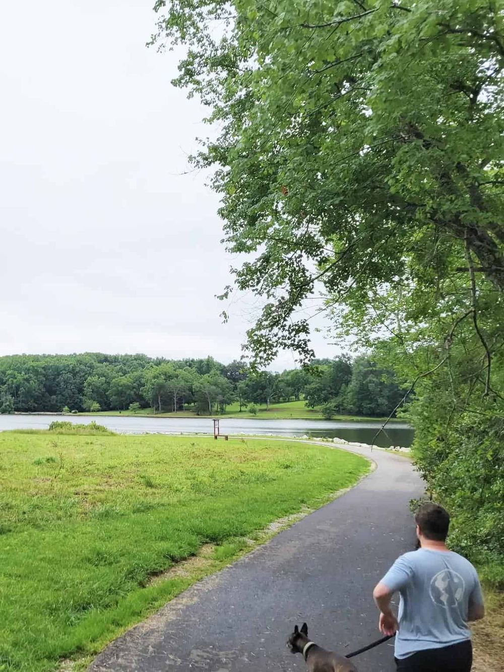 Tranquil lakeside park with walking trail, lush greenery, and a person walking a dog.