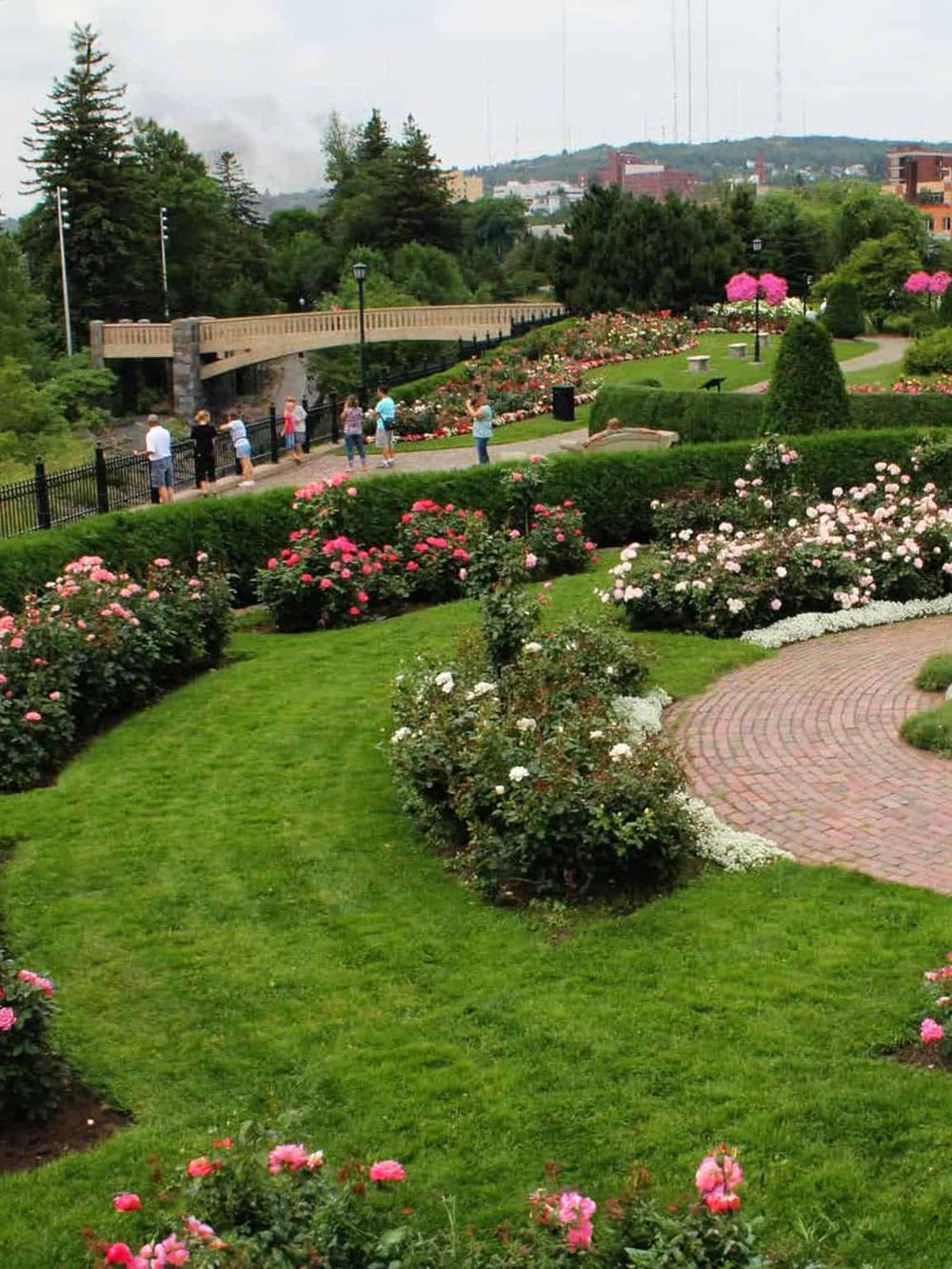 Colorful garden with blooming roses and a scenic walking path in a serene park setting.