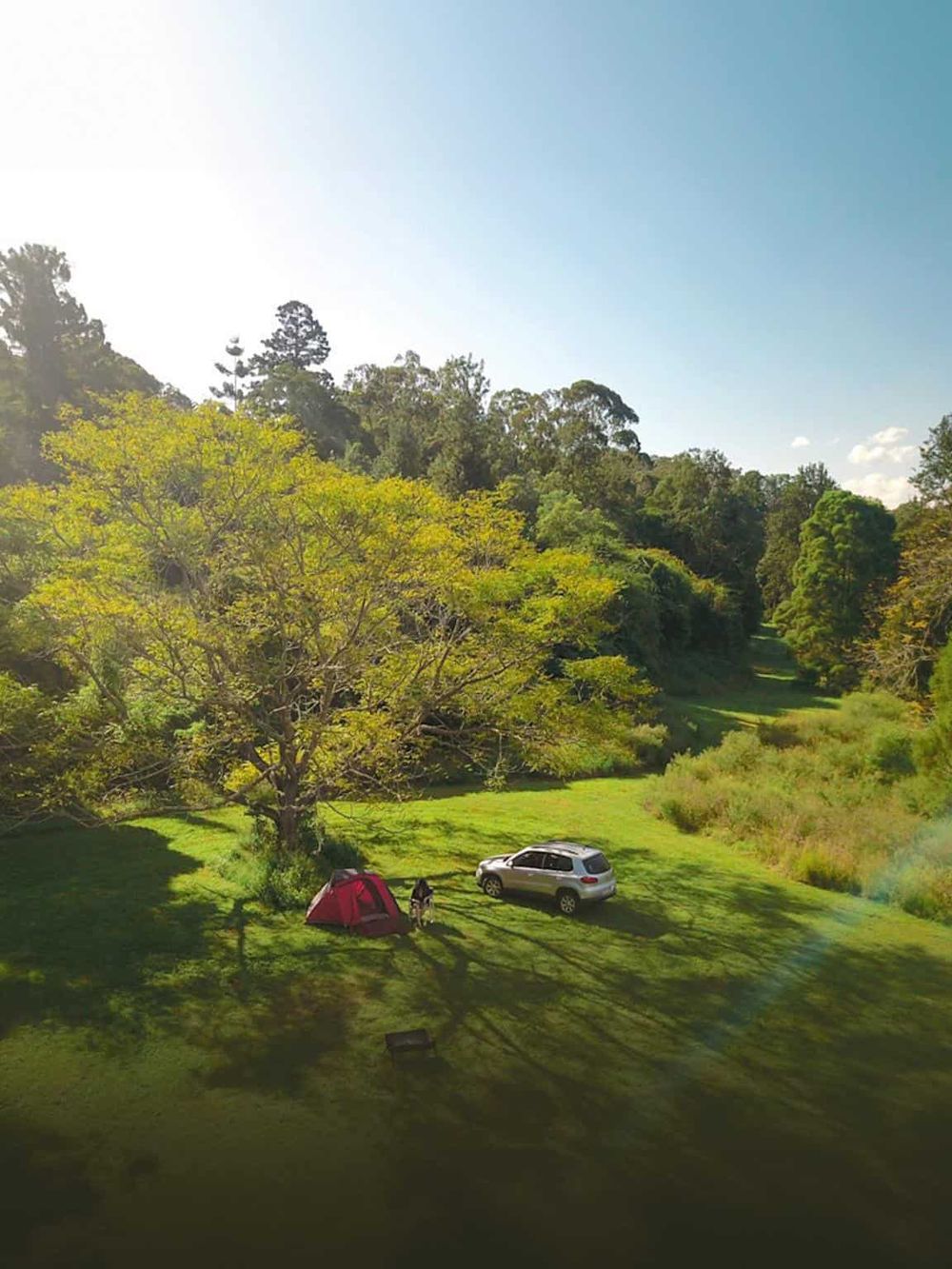 Scenic outdoor camping site with tent, car, lush green trees, and clear blue sky, ideal for outdoor adventures and nature exploration.