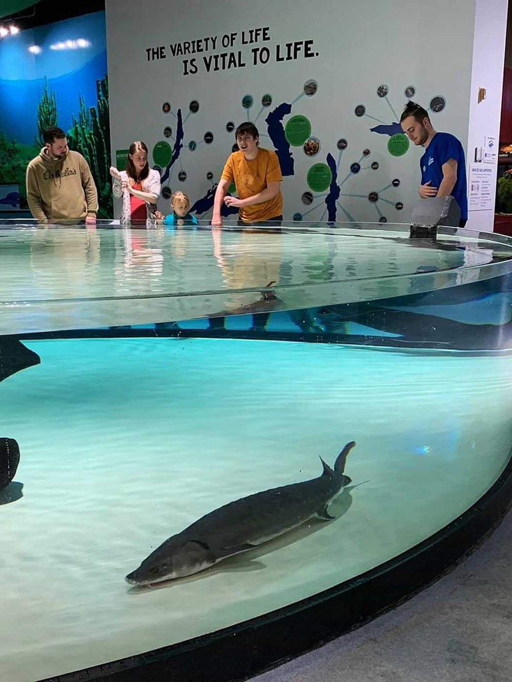 1. Interactive marine life exhibit at QuestForDirections, featuring aquatic creatures and educational displays.