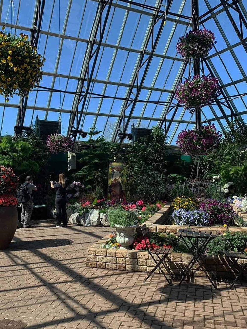Bright glass greenhouse filled with colorful flowers and greenery, perfect for plant enthusiasts.