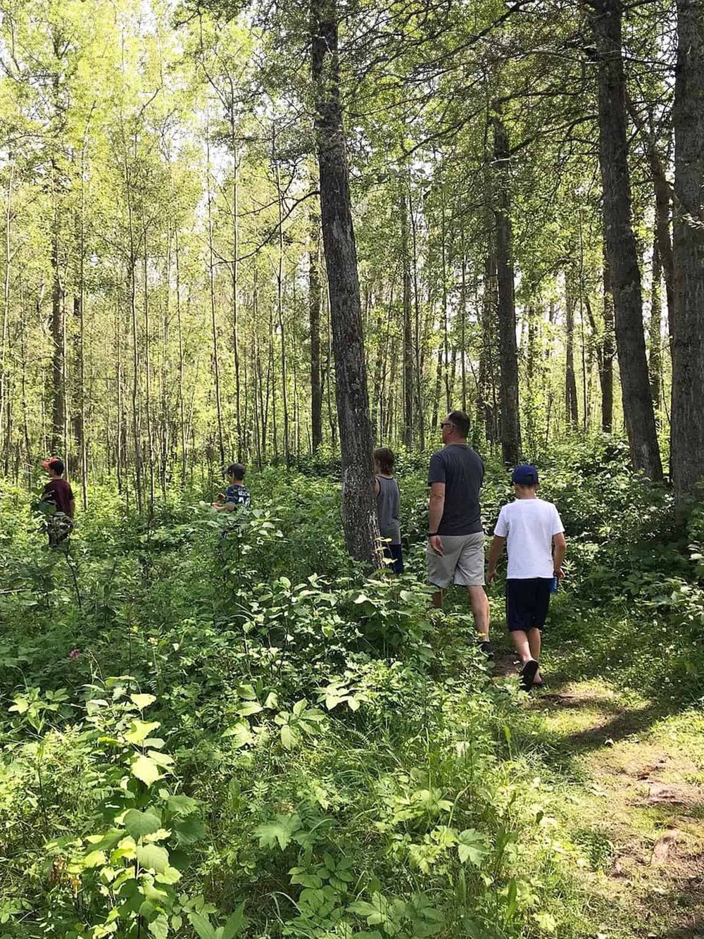 Family hiking in lush forest for outdoor exploration and adventure.