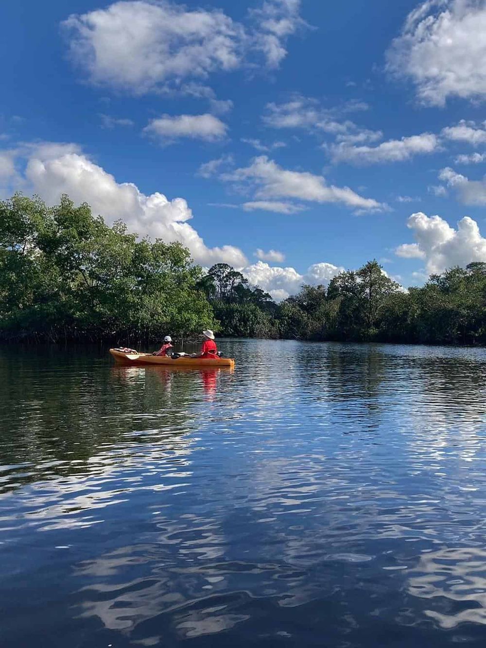 Remote river kayaking adventure with lush greenery, blue skies, and tranquil waters for outdoor exploration.