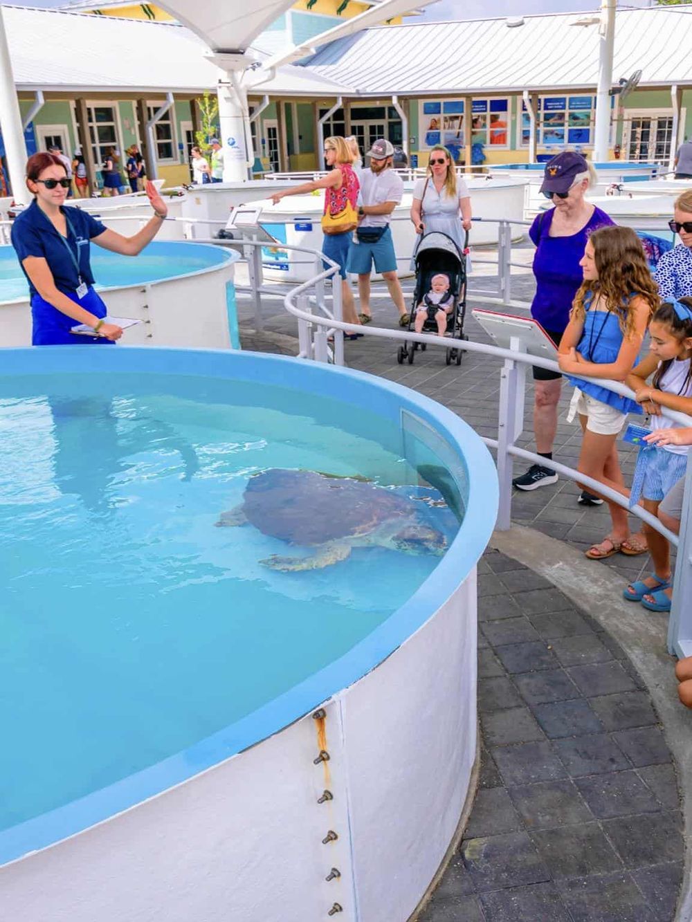 Interactive aquarium tour at QuestForDirections, engaging tourists with marine life exhibits.