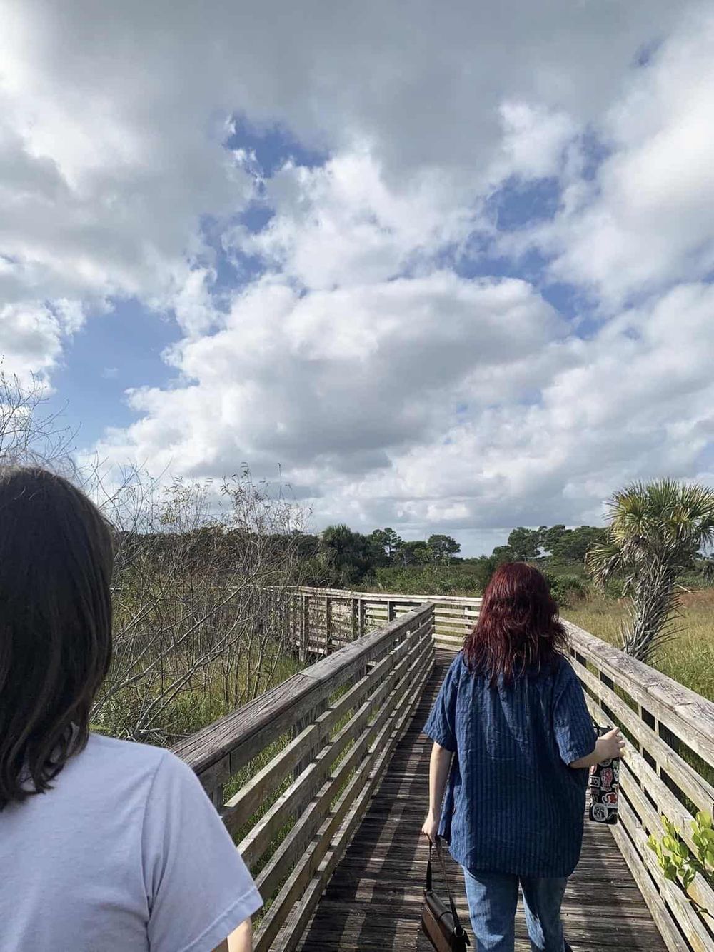 Serene nature walk on wooden boardwalk through lush greenery and cloudy sky, perfect for outdoor exploration and eco-tourism.