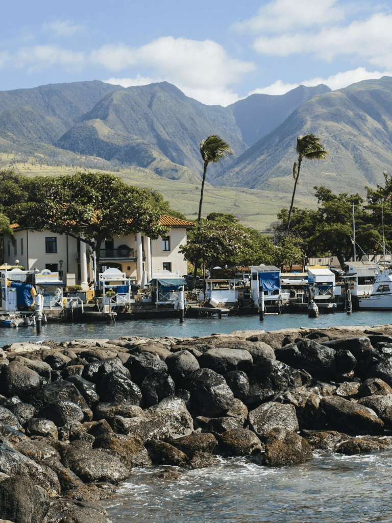Lush tropical harbor with boats, mountains, and palm trees in a scenic coastal setting.