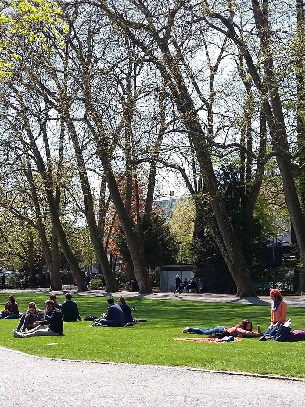 People relaxing in a park with large trees and green grass, promoting outdoor activities and city park exploration.