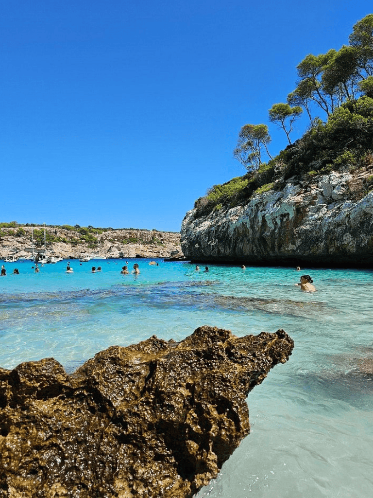 Tropical beach with clear blue water, rocky shoreline, and lush trees on cliffs in the background.