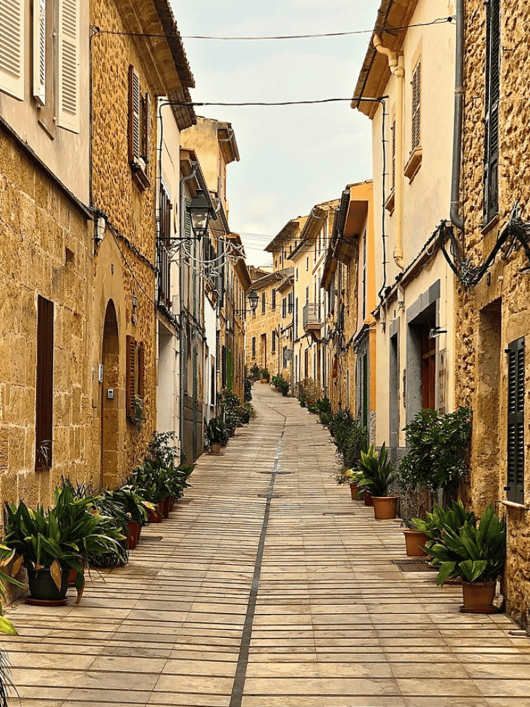Quaint Italian street with potted plants, narrow cobblestone pathway, historic architecture, and charming neighborhood vibe.