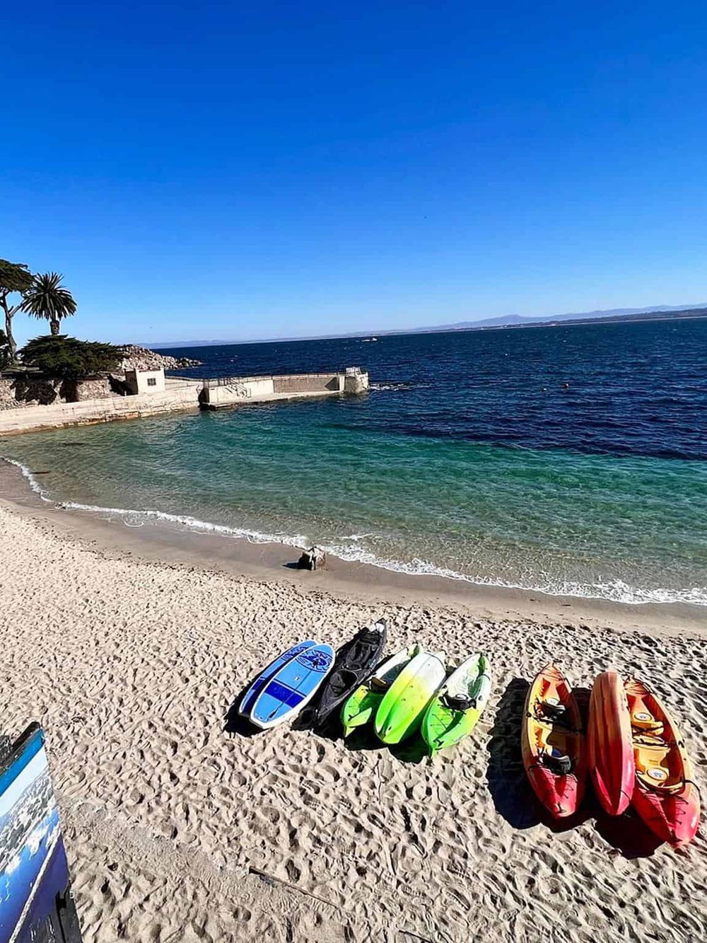 Vibrant paddleboards on sandy beach with calm ocean, scenic coastal view and clear blue sky.