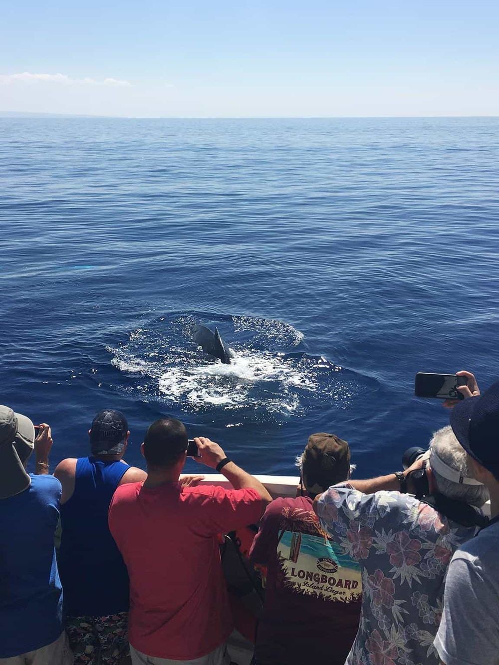 Dolphin watching tour with people capturing the marine life on camera during a sunny day at sea.