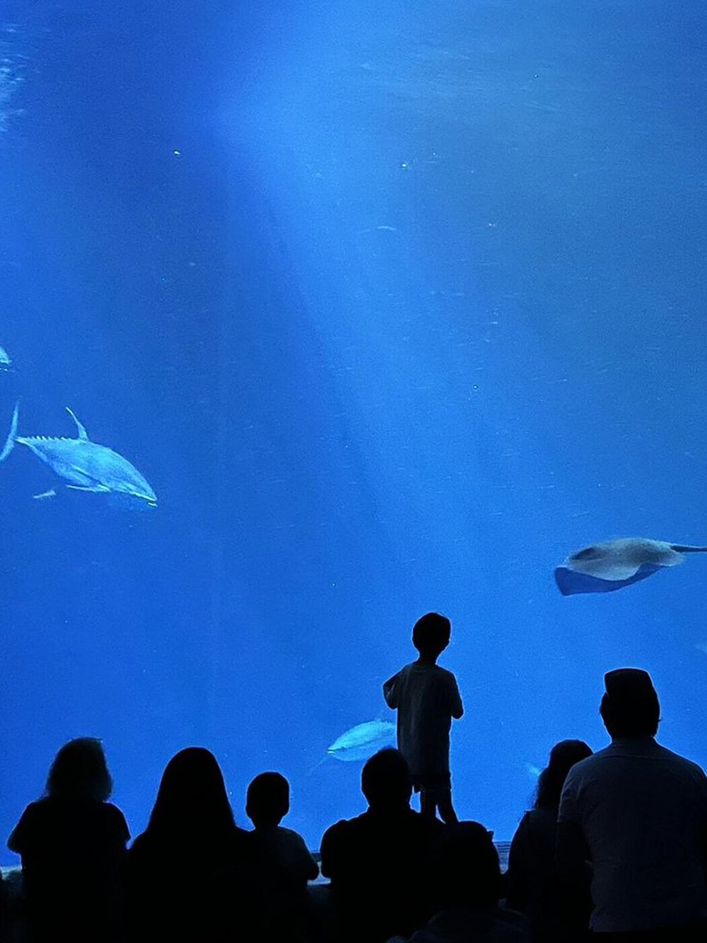 Colorful underwater aquarium scene with children and adults observing marine life.