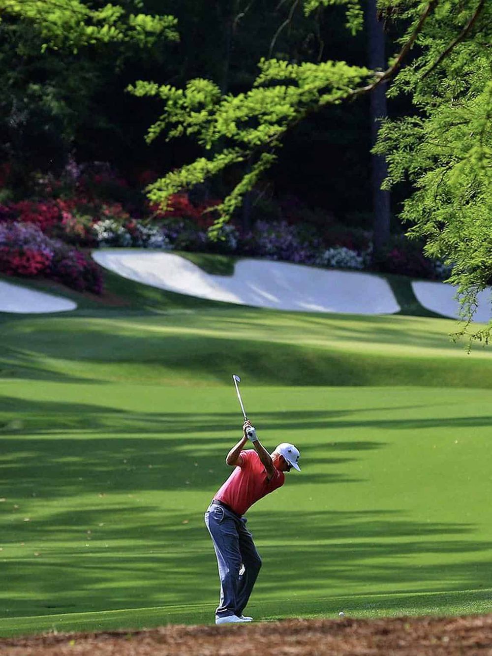 Golf player taking a shot on a lush green course with sand bunkers and trees in the background.