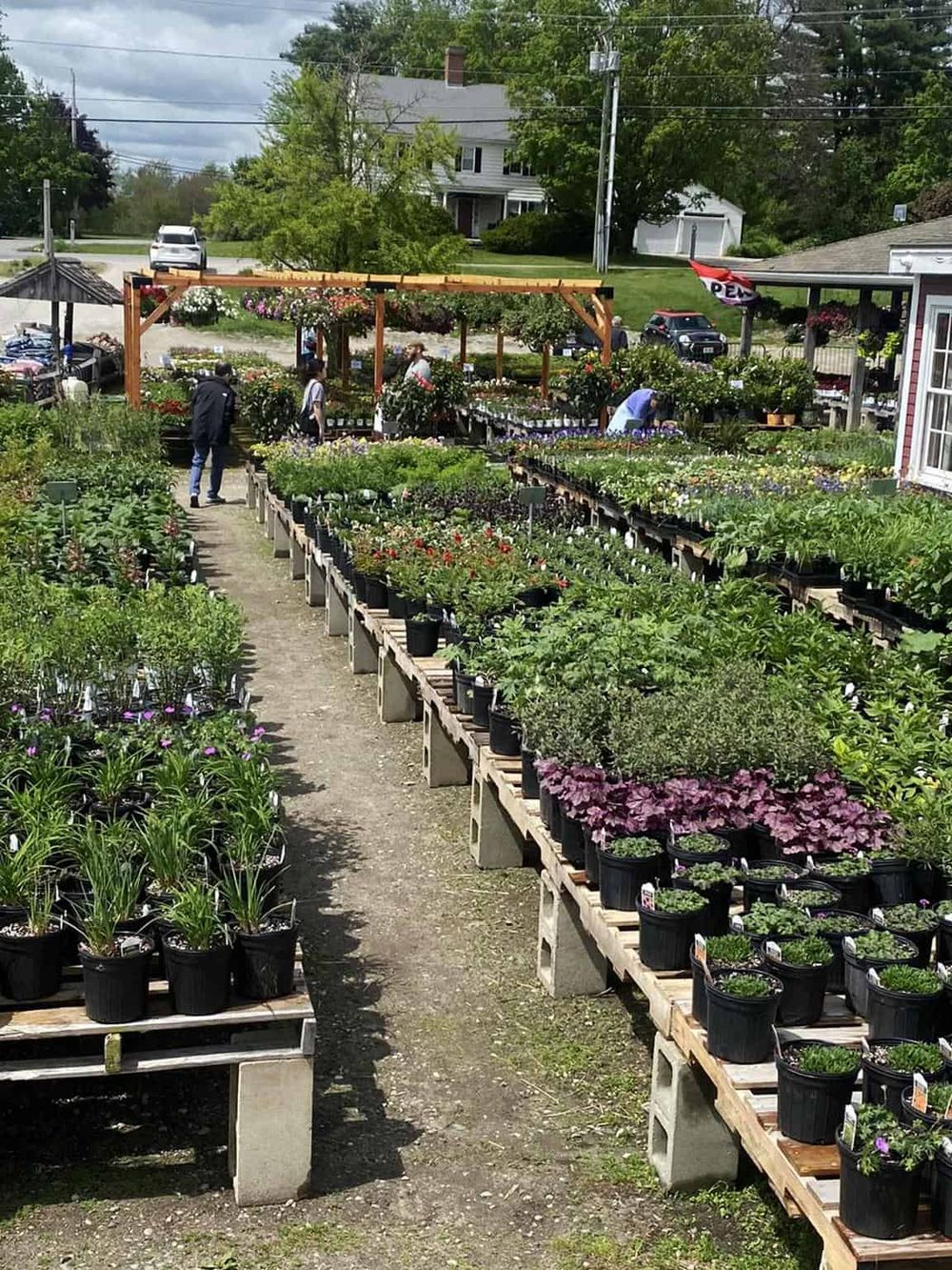 Vibrant plant nursery with potted flowers and greenery, outdoor garden center, lush trees, and peaceful rural setting.