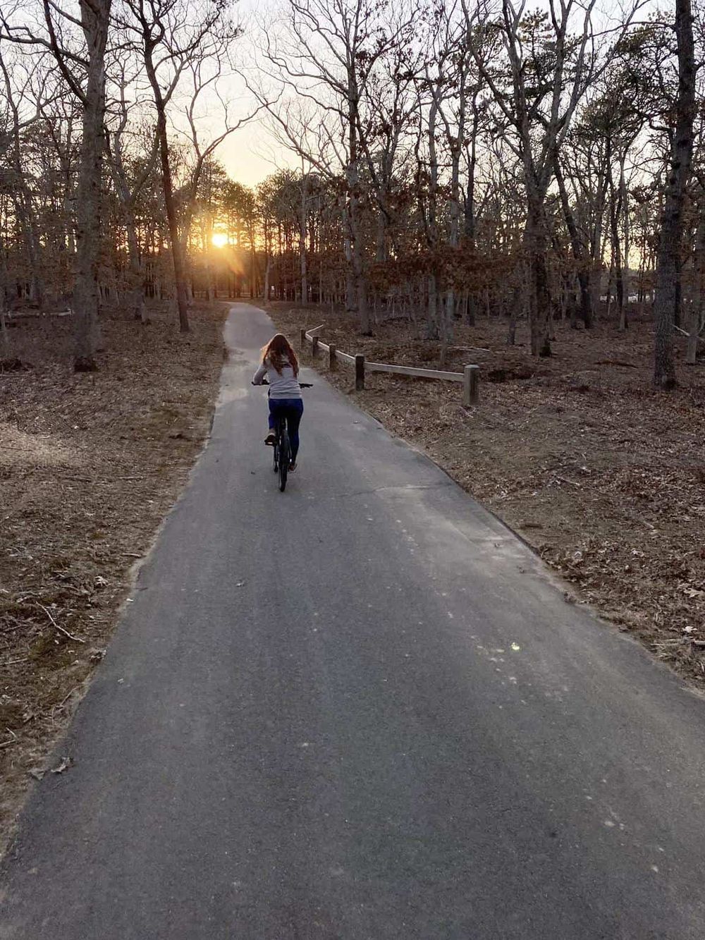 Scenic sunset view with a girl biking on a trail through a leafless forest in autumn.