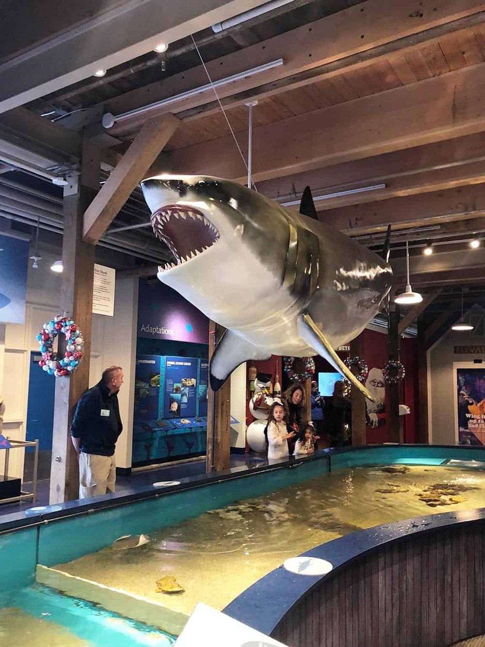 Huge Great White Shark model at Quest for Directions museum, educational exhibit on marine life and sharks.