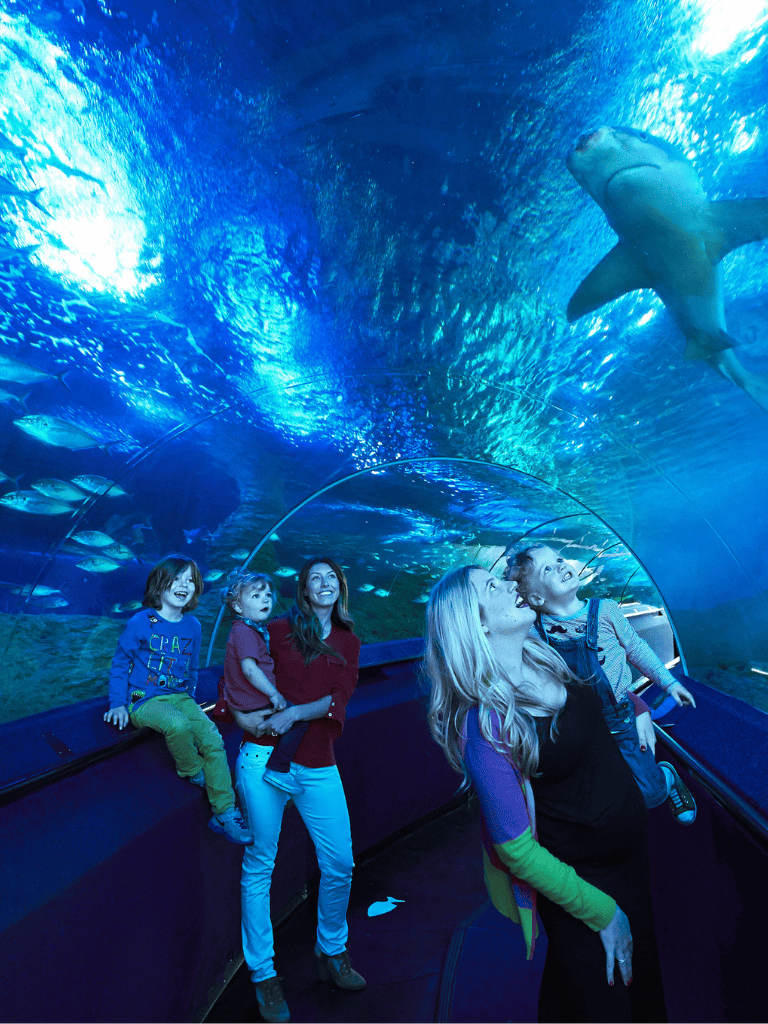 Colorful underwater aquarium view with families observing marine life and sharks.