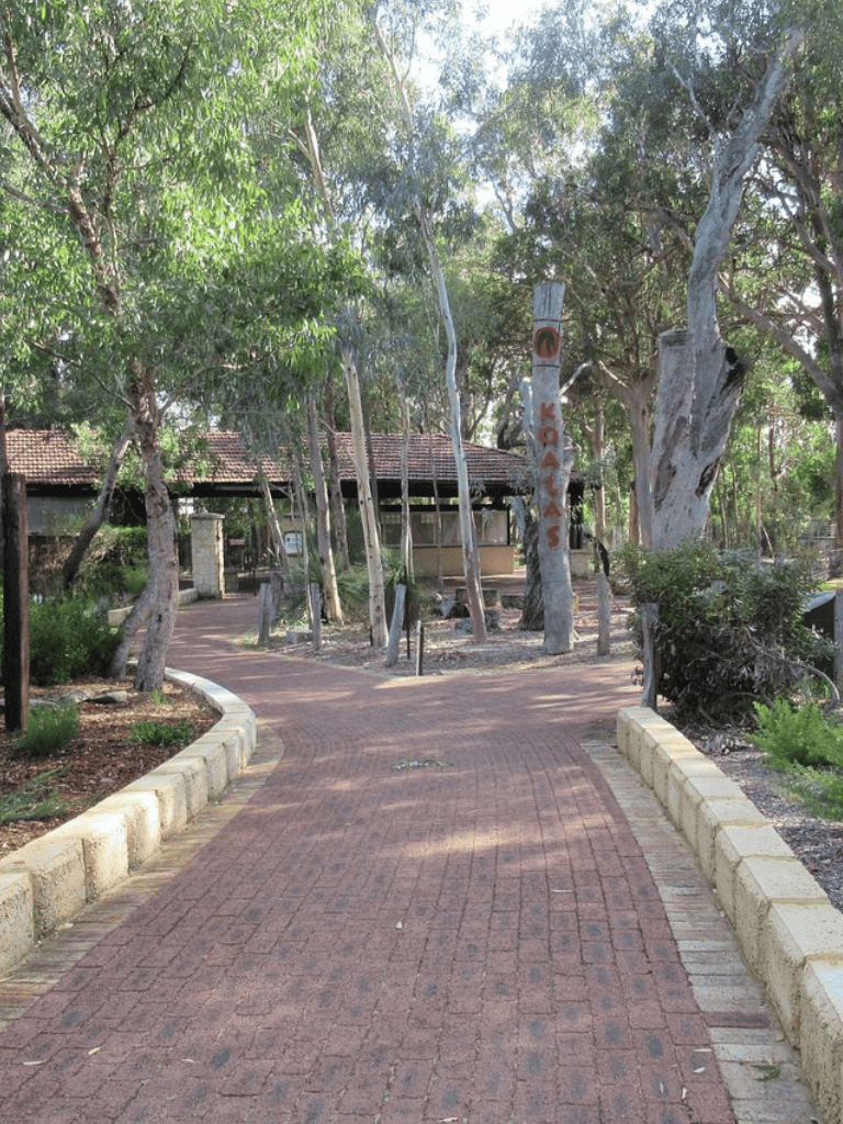 Quiet nature trail at QuestForDirections with lush trees and scenic walk paths.