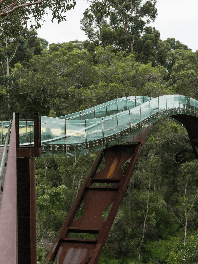 Stunning glass bridge over lush green forest, offering breathtaking views and unique adventure experience.