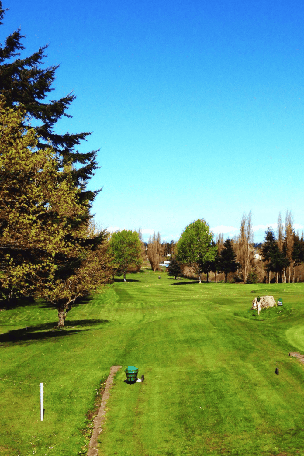 Lush green golf course under clear blue sky with trees and well-manicured fairways.