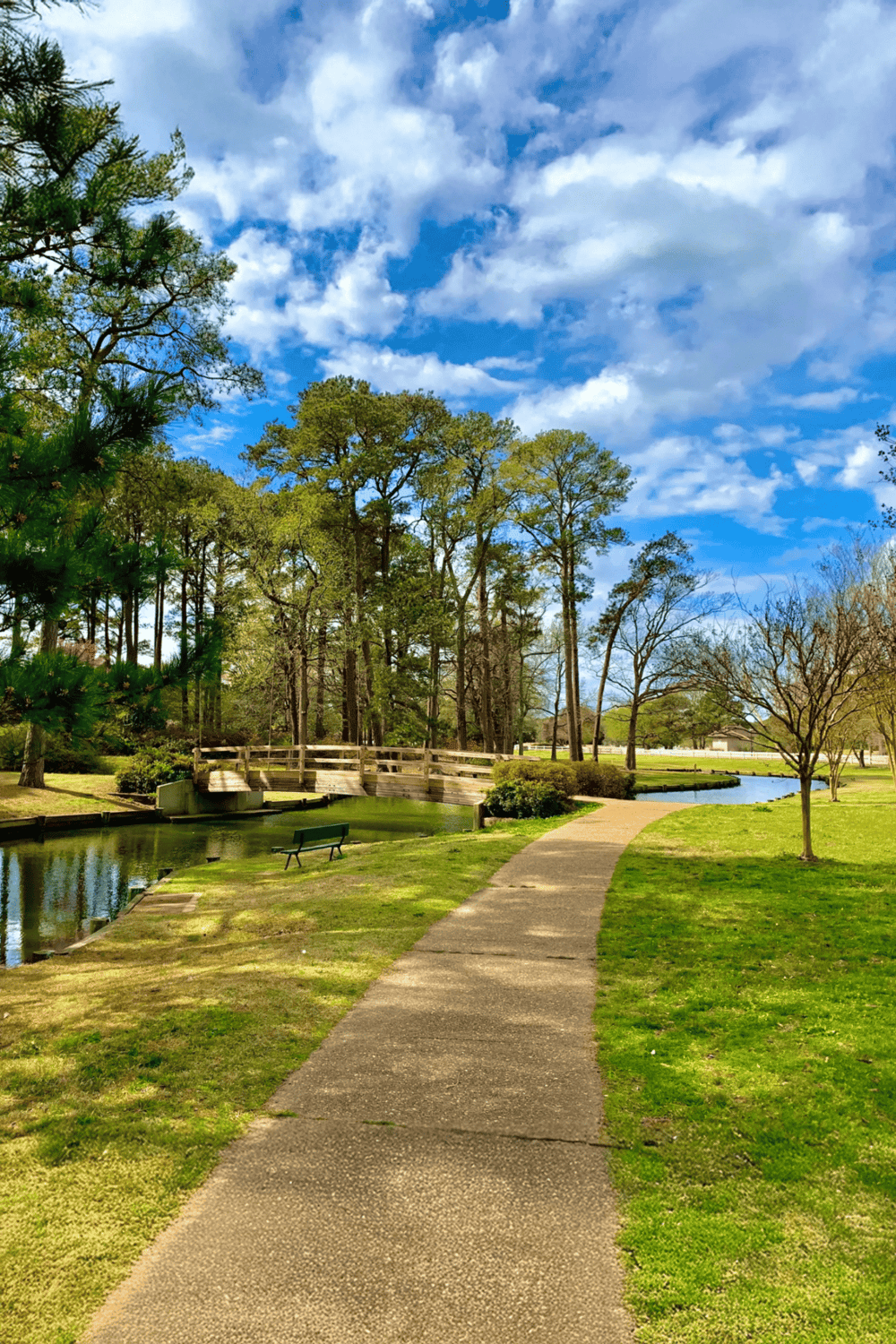 Vibrant park scene with walking path, river, trees, blue sky, and cloudscape for outdoor recreation and nature relaxation.