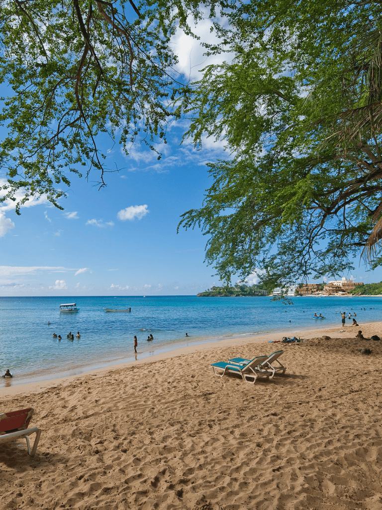 Relaxing beach scene with turquoise water, swaying trees, and people enjoying the ocean. Perfect for travel and vacation planning.