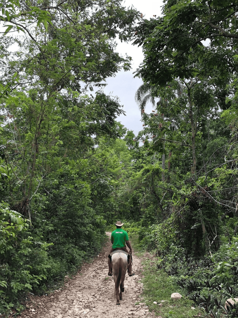 1. Horse rider on a lush forest trail in Costa Rica for eco-tours and nature adventures.