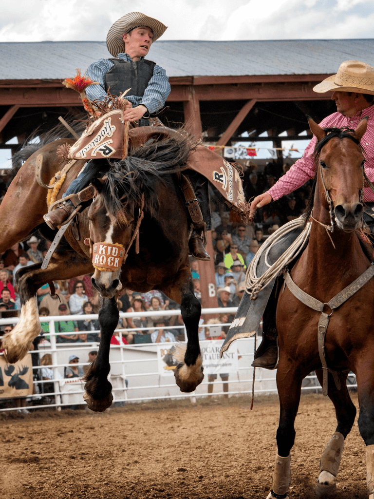 Rodeo cowboy riding bucking horse at QuestForDirections rodeo event.