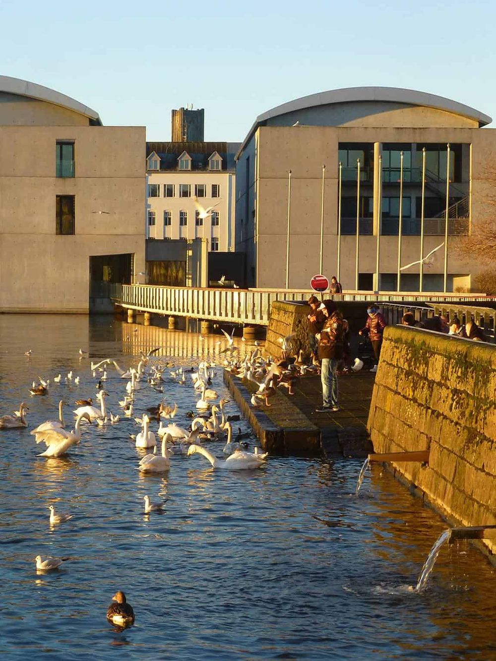 Modern architecture near water with pigeons and people, cityscape, Urban design, Preservation, and Scenic views.