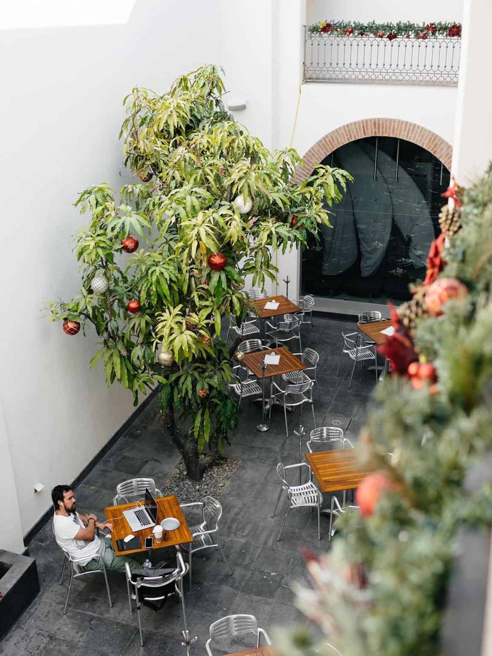 Lush indoor courtyard with a tall, decorated Christmas tree and modern seating area, perfect for holiday gatherings.