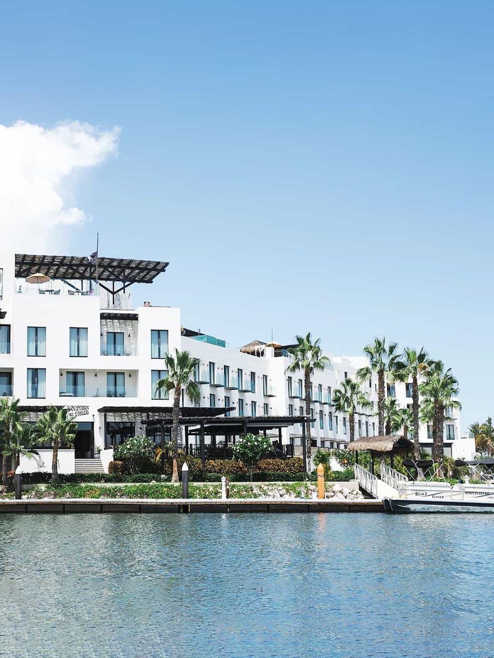 Luxurious beachfront hotel with palm trees and boat dock at water's edge, perfect for vacation rentals.