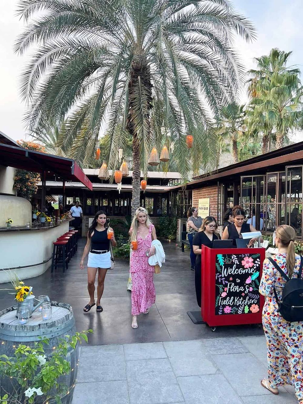 Lush outdoor restaurant with palm trees and tropical decor, inviting atmosphere for dining and socializing.