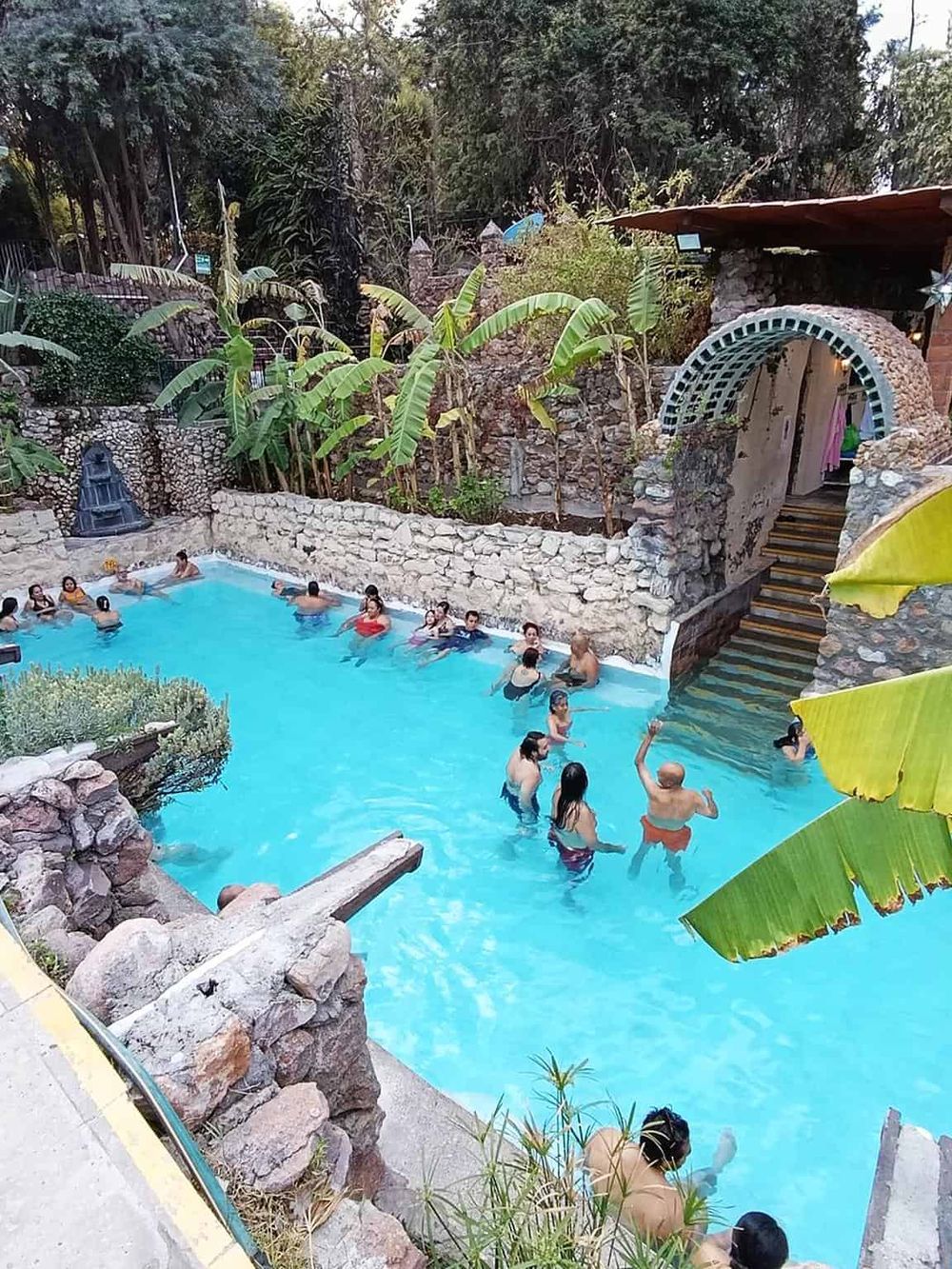 Relaxing resort pool surrounded by lush tropical plants and stone architecture, with guests enjoying a swim and socializing.