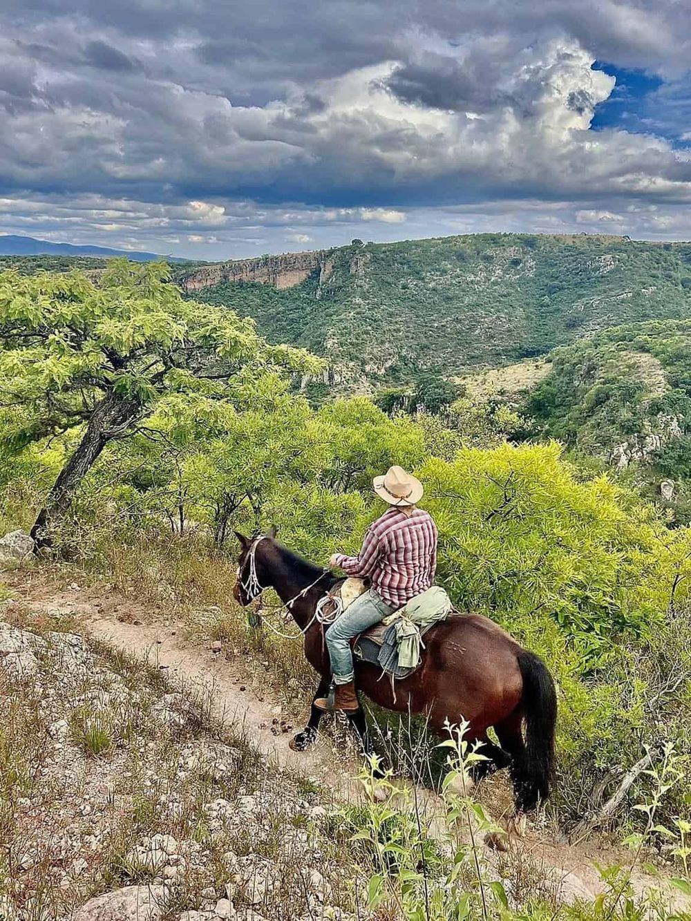 Horseback riding through scenic wilderness with canyon views | Quest for Directions travel adventure.