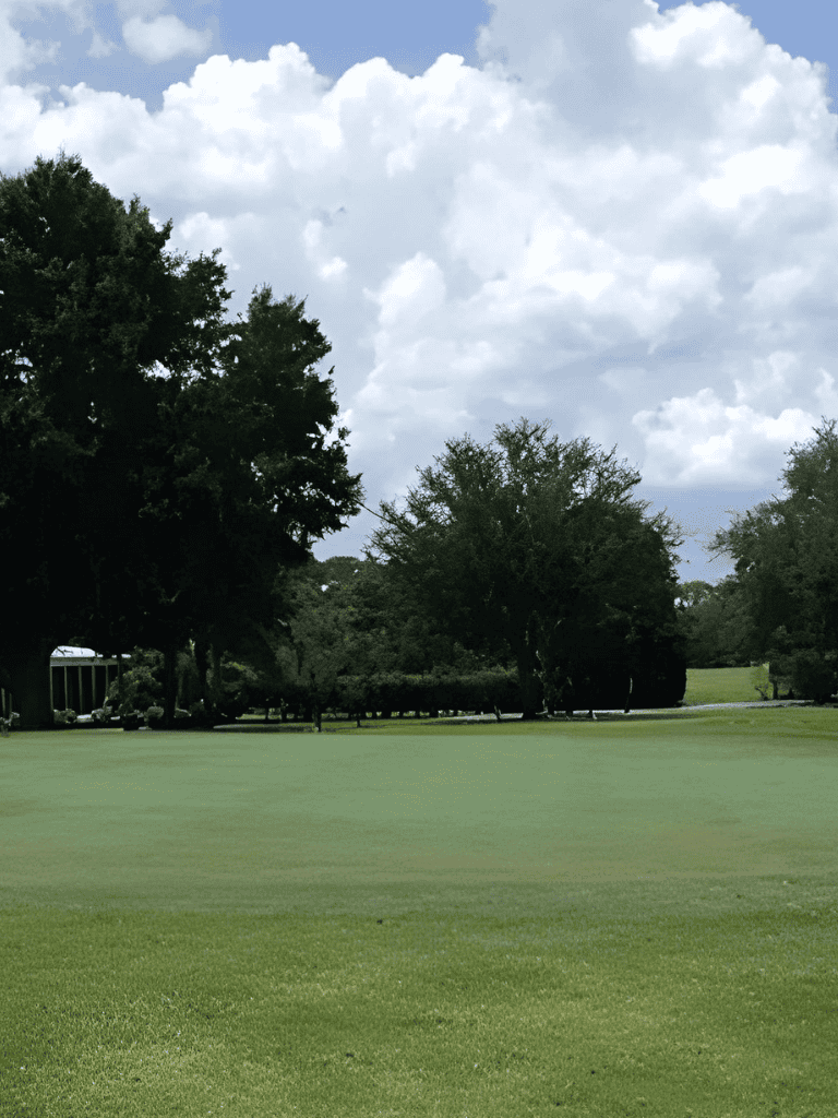 Golf course under cloudy sky with lush trees and well-maintained grass, ideal for outdoor recreational activities.