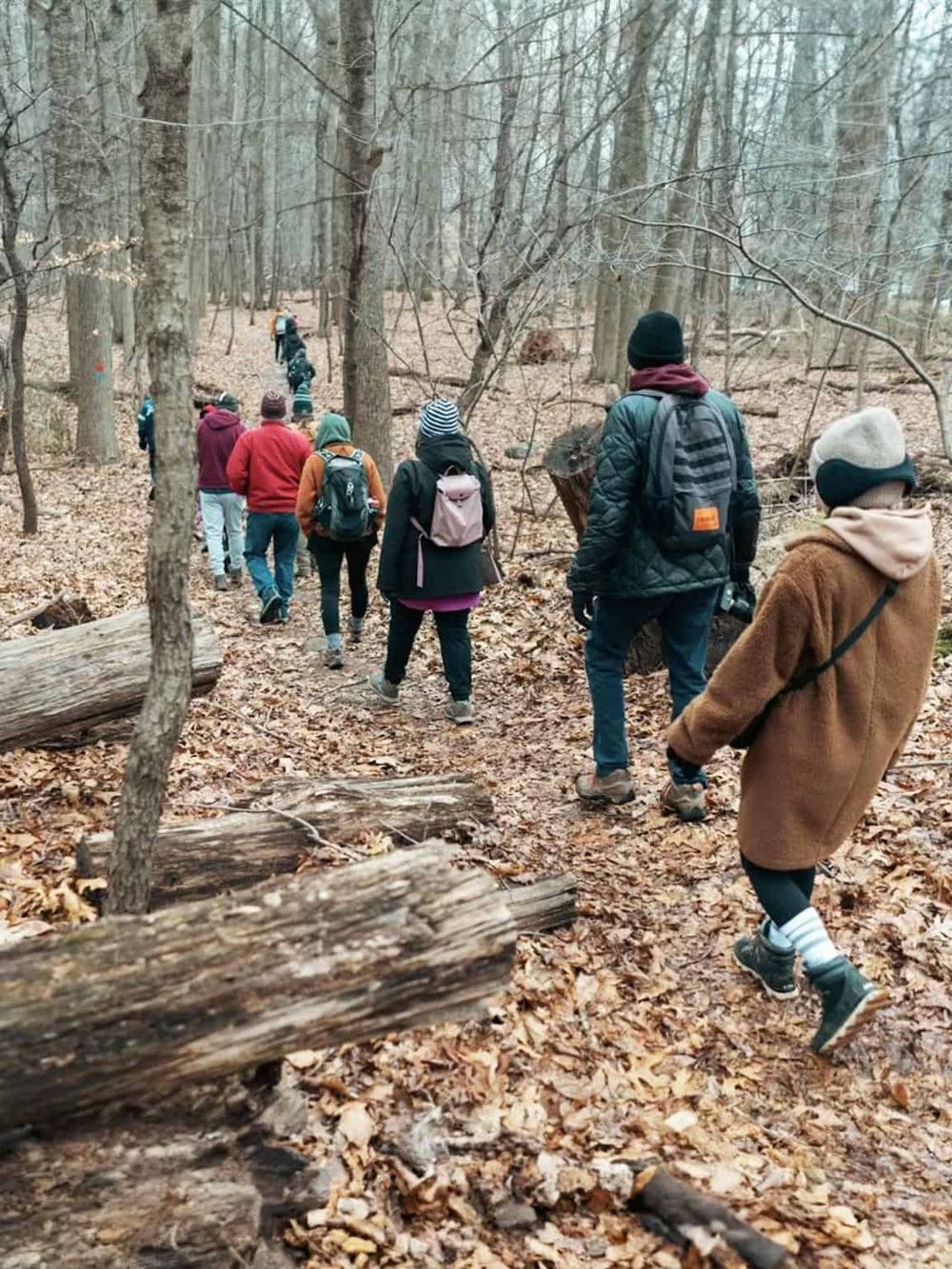1. Group of hikers walking through a leaf-covered forest trail in autumn.