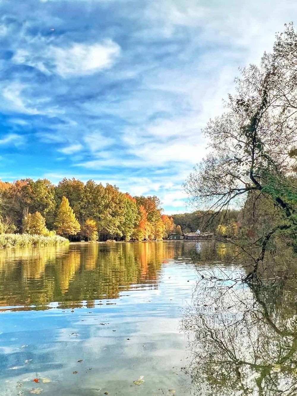 Scenic fall landscape with calm river reflecting colorful autumn trees under a blue sky.