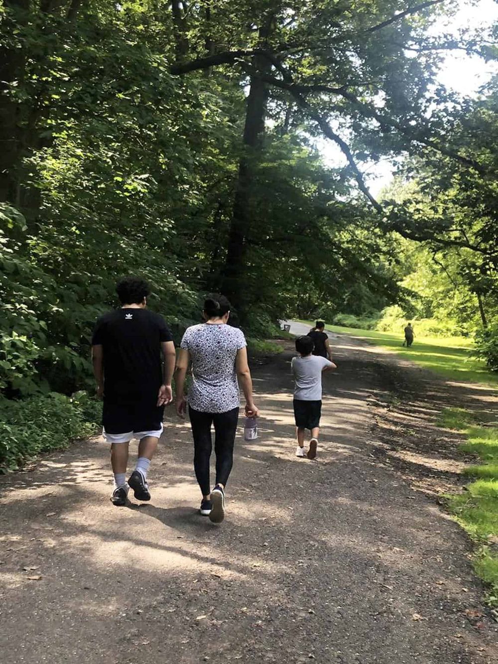 A family hiking on a wooded trail, surrounded by lush green trees and peaceful nature. Perfect for outdoor adventures and exploring serene nature.