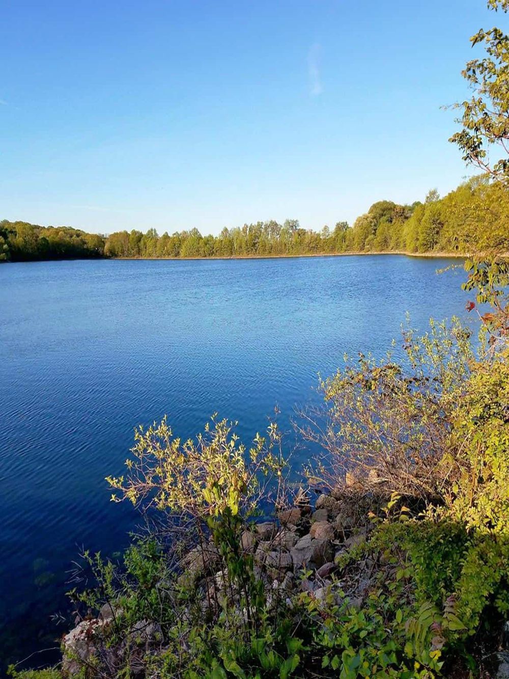 Serene lake with clear blue water and lush green trees on the shore in a natural outdoor setting.