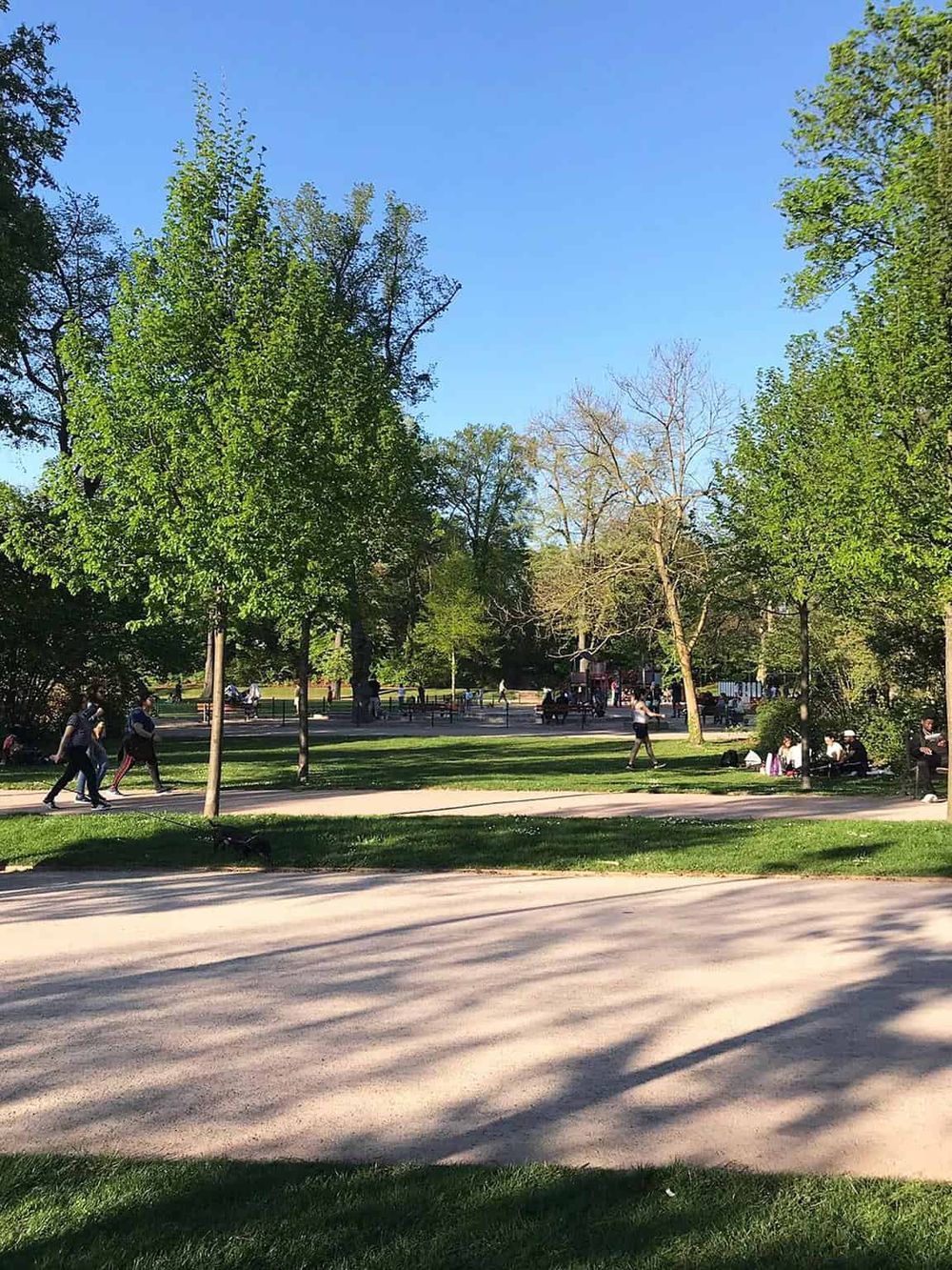 Vibrant park scene with green trees and people enjoying outdoor activities on a bright sunny day.