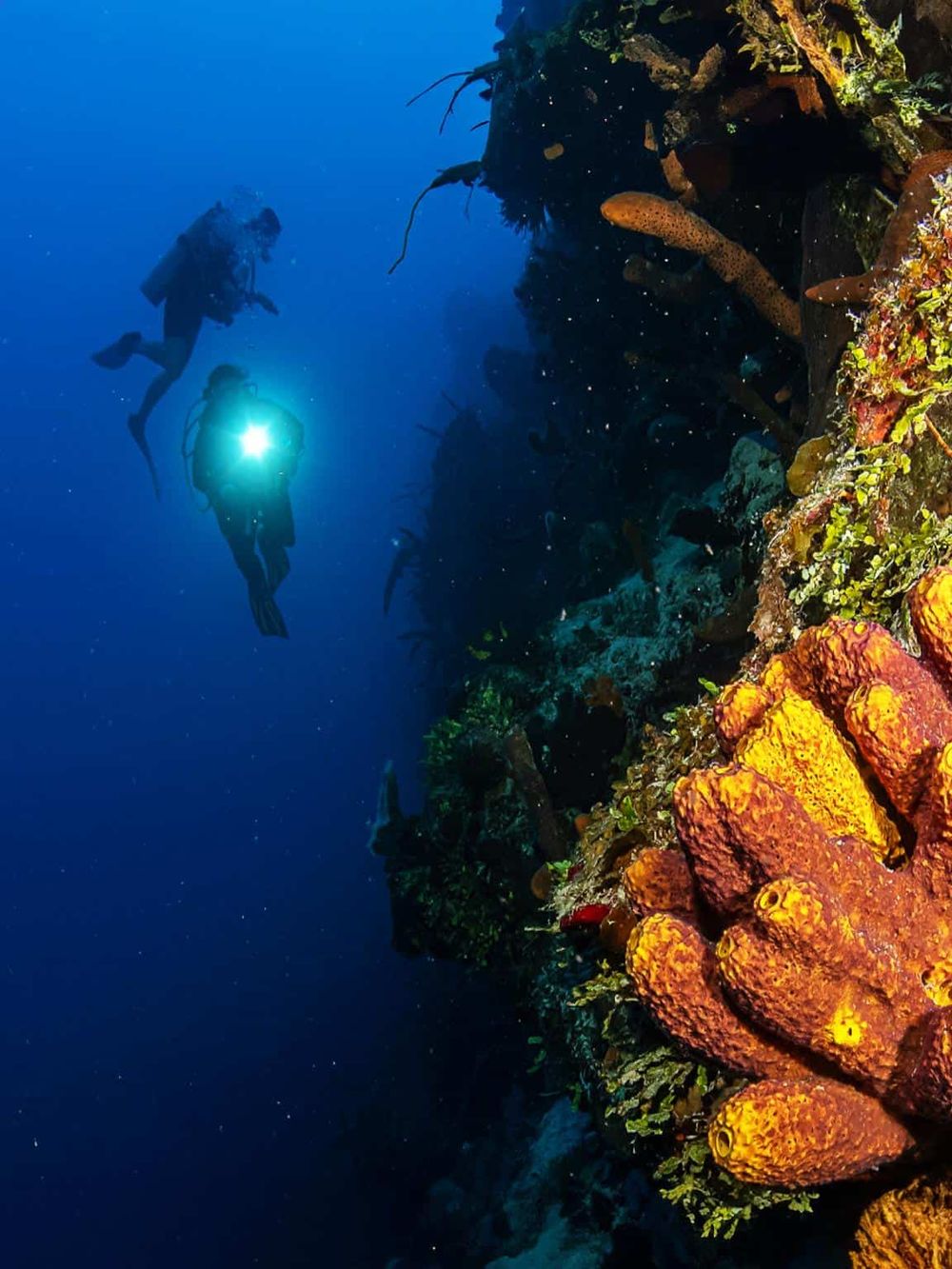 Scuba divers exploring underwater coral reef at night, vibrant marine life and colorful coral formations.