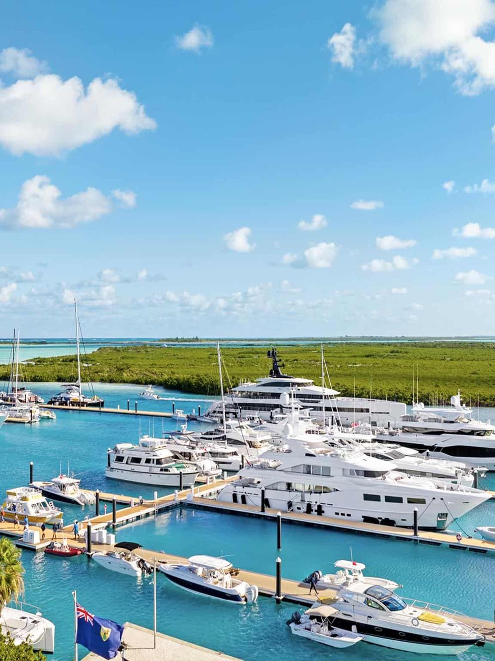 Luxurious yachts docked at marina with lush green landscape and blue sky, perfect for boat tours and maritime exploration.