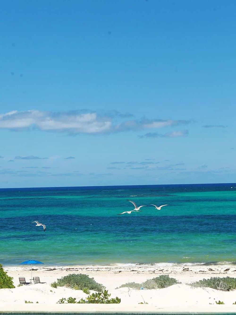 Serene beach scene with turquoise waters, white sand, and seagulls under a clear blue sky.