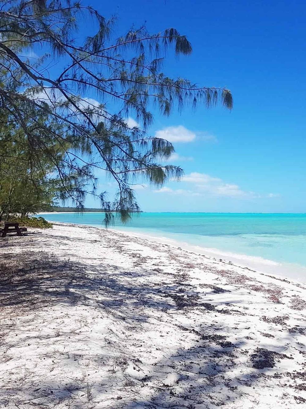 Serene beach scenery with white sand, turquoise waters, and lush trees on a clear sunny day.