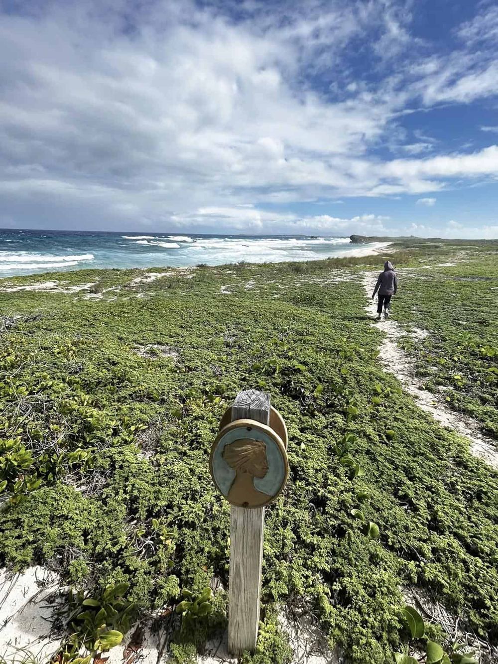 Secluded beach with lush greenery, walking trail, and ocean views in the background.