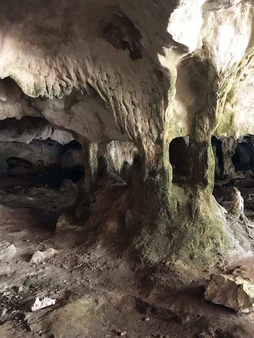 Moss-covered stalagmites and stalactites inside a natural cave formation.