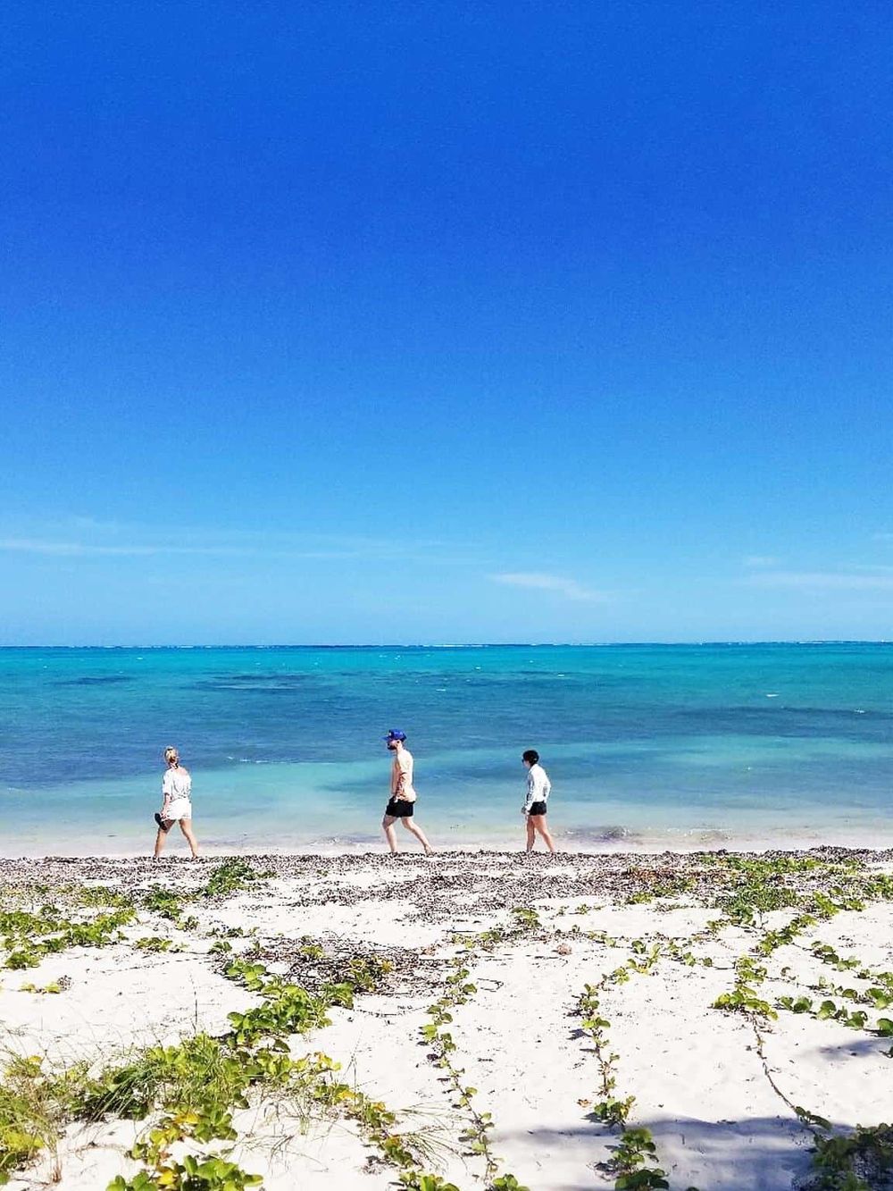 Beachwalkers enjoying a sunny day at the beach with clear blue sky, turquoise waters, and sandy shoreline.