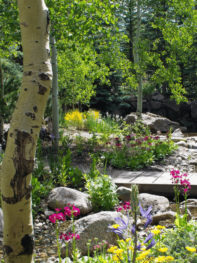 Vibrant garden with lush trees, colorful flowers, and a small wooden bridge in a serene outdoor setting.