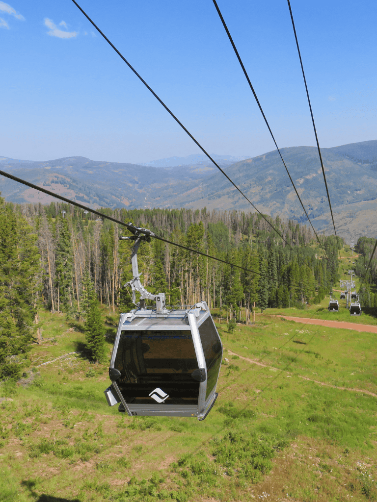 Cable car ride over lush forest and mountain landscape for outdoor adventure and scenic views.