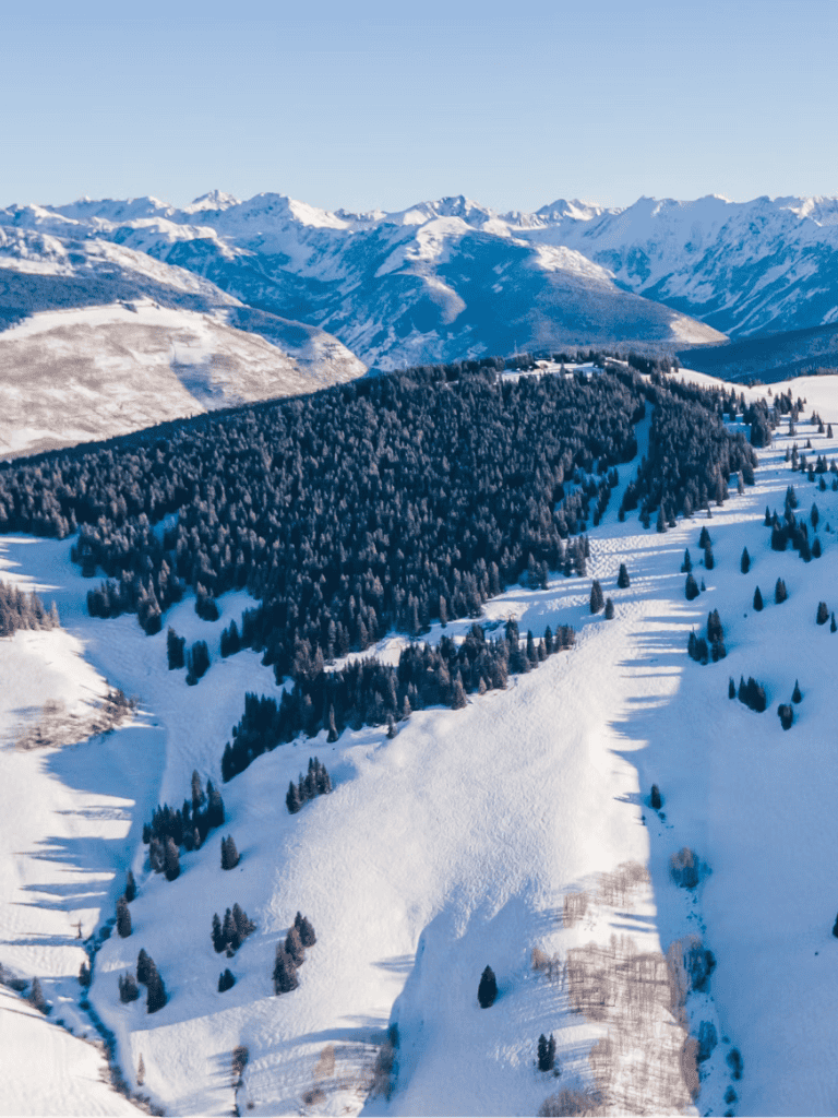 Snow-covered mountain landscape with dense pine forests and ski trails in a scenic winter setting.